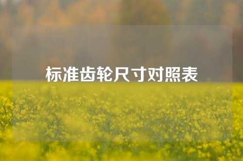 標(biāo)準(zhǔn)齒輪尺寸對照表