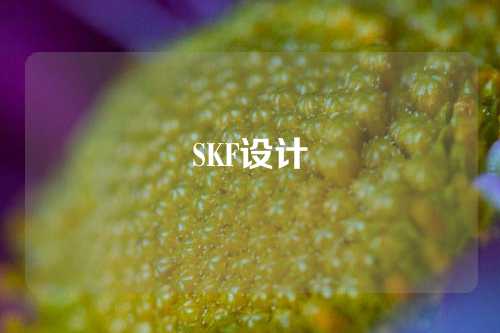 SKF設(shè)計