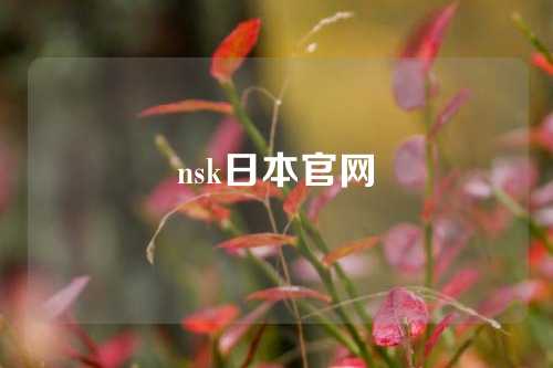 nsk日本官網(wǎng)