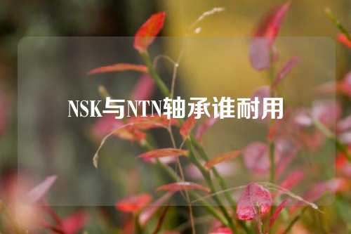 NSK與NTN軸承誰耐用