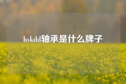 hskdd軸承是什么牌子