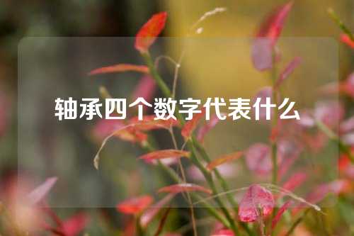 軸承四個(gè)數(shù)字代表什么