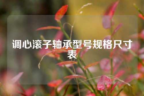 調(diào)心滾子軸承型號規(guī)格尺寸表