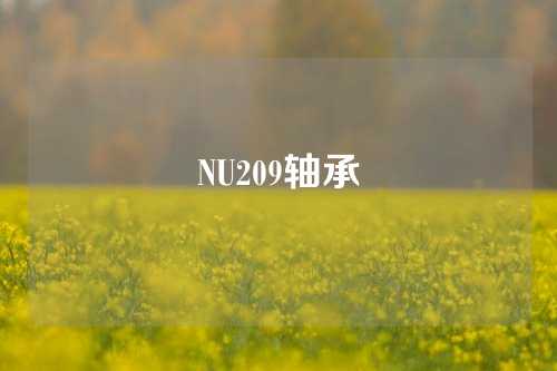 NU209軸承