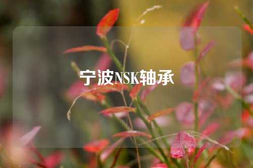 寧波NSK軸承