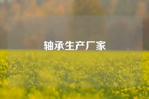 軸承生產(chǎn)廠家