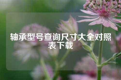 軸承型號查詢尺寸大全對照表下載