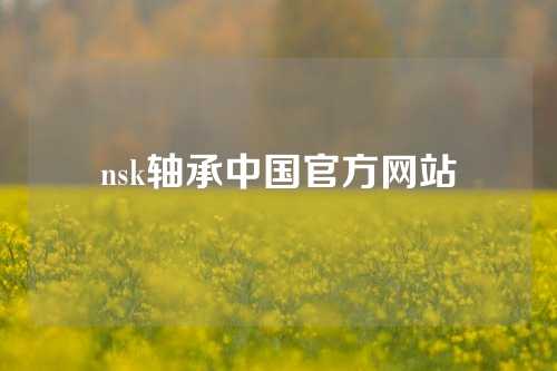 nsk軸承中國官方網(wǎng)站