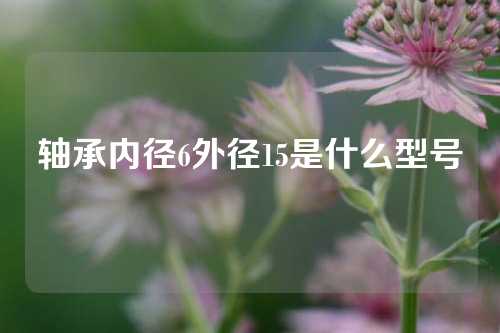 軸承內(nèi)徑6外徑15是什么型號