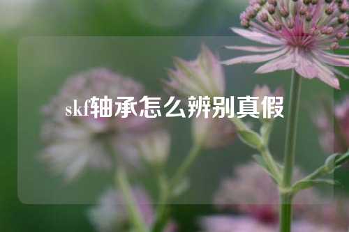 skf軸承怎么辨別真假