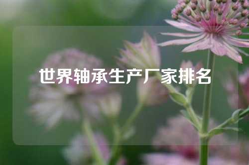 世界軸承生產(chǎn)廠家排名