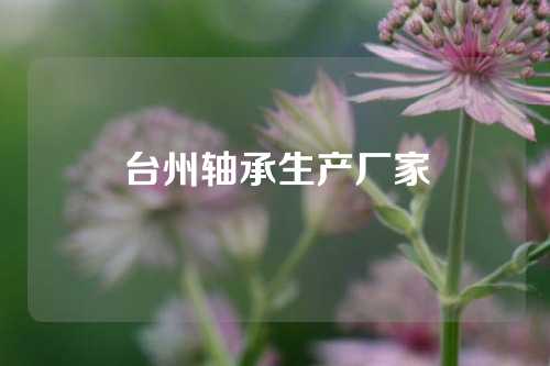 臺(tái)州軸承生產(chǎn)廠家