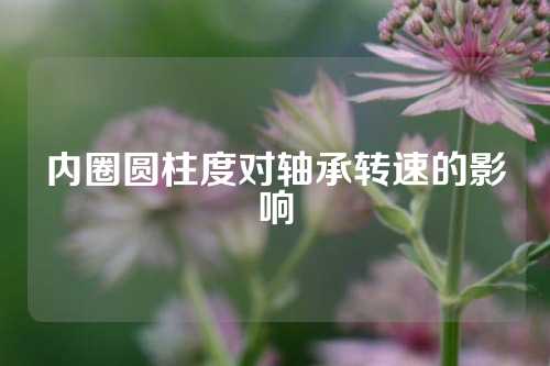 內(nèi)圈圓柱度對軸承轉(zhuǎn)速的影響