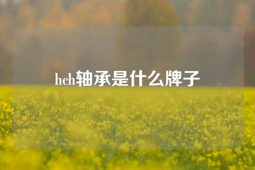 hch軸承是什么牌子