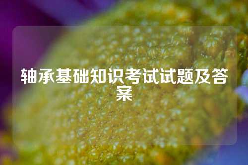 軸承基礎(chǔ)知識考試試題及答案