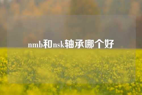 nmb和nsk軸承哪個(gè)好