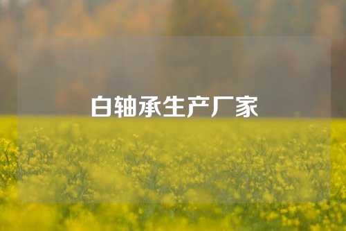 白軸承生產(chǎn)廠家