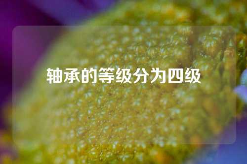 軸承的等級分為四級