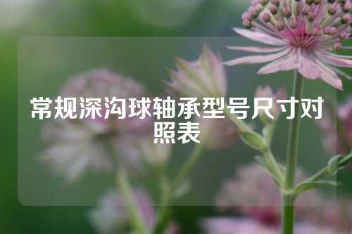 常規(guī)深溝球軸承型號(hào)尺寸對(duì)照表