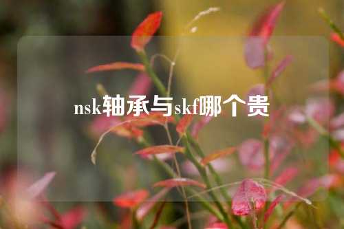 nsk軸承與skf哪個貴