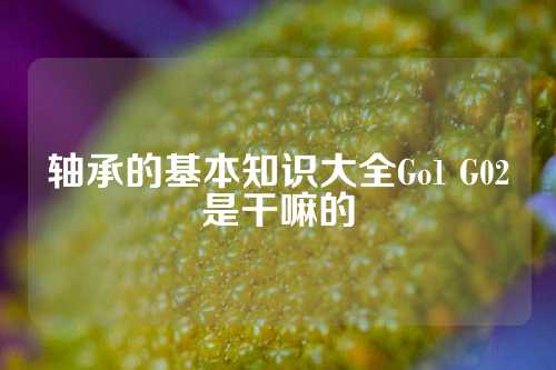 軸承的基本知識(shí)大全Go1 G02是干嘛的