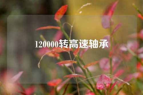 120000轉(zhuǎn)高速軸承