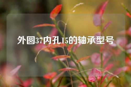 外圓37內(nèi)孔15的軸承型號(hào)