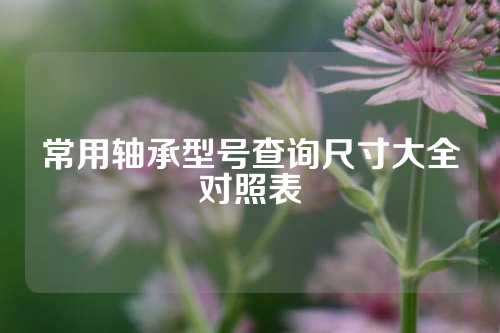 常用軸承型號(hào)查詢尺寸大全對(duì)照表