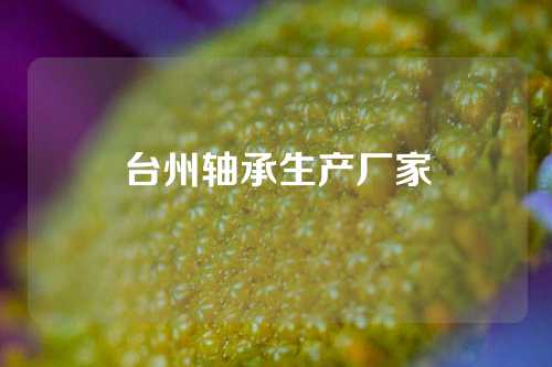 臺(tái)州軸承生產(chǎn)廠家