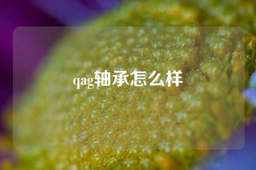 qag軸承怎么樣