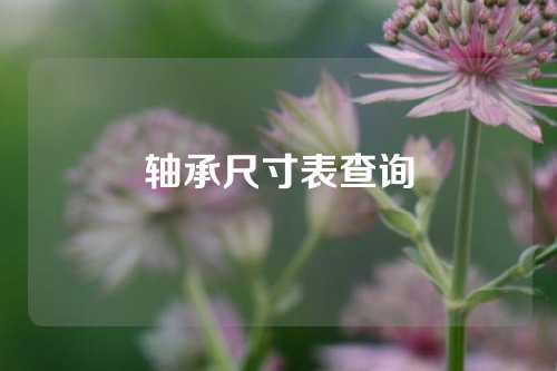 軸承尺寸表查詢