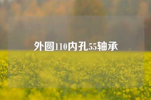 外圓110內(nèi)孔55軸承