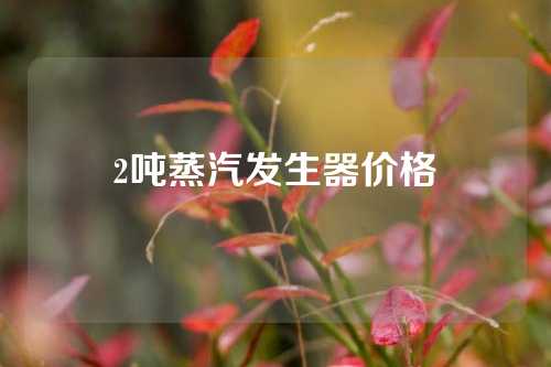 2噸蒸汽發(fā)生器價格