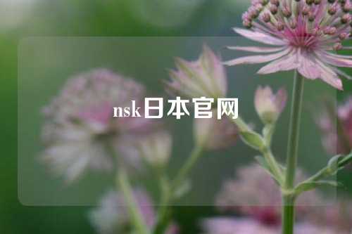 nsk日本官網(wǎng)