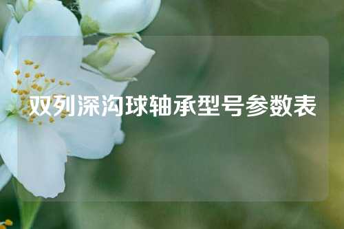 雙列深溝球軸承型號(hào)參數(shù)表