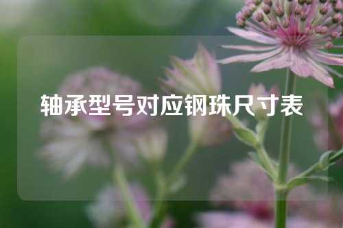 軸承型號(hào)對(duì)應(yīng)鋼珠尺寸表