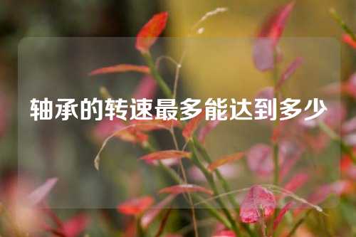 軸承的轉(zhuǎn)速最多能達(dá)到多少