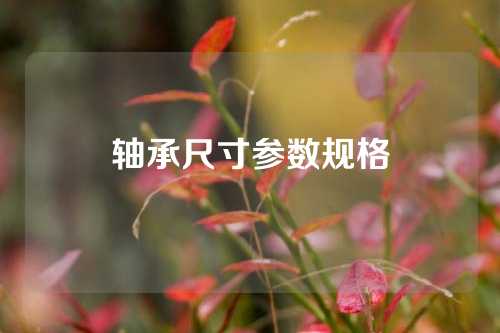 軸承尺寸參數(shù)規(guī)格