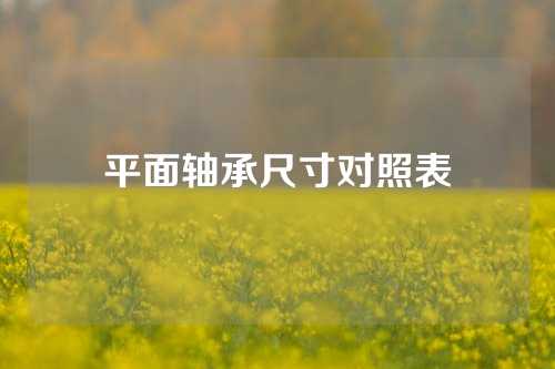 平面軸承尺寸對(duì)照表