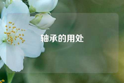 軸承的用處