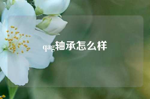 qag軸承怎么樣