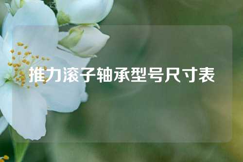 推力滾子軸承型號(hào)尺寸表