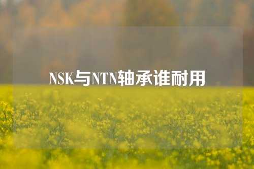 NSK與NTN軸承誰耐用