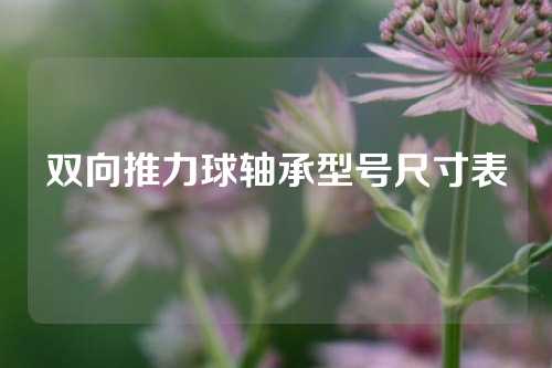 雙向推力球軸承型號(hào)尺寸表