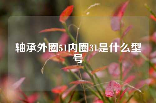 軸承外圈51內(nèi)圈31是什么型號