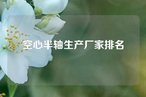 空心半軸生產(chǎn)廠家排名