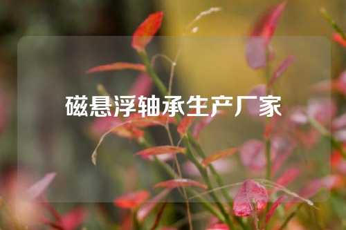 磁懸浮軸承生產(chǎn)廠家