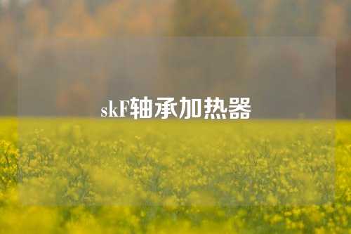 skF軸承加熱器