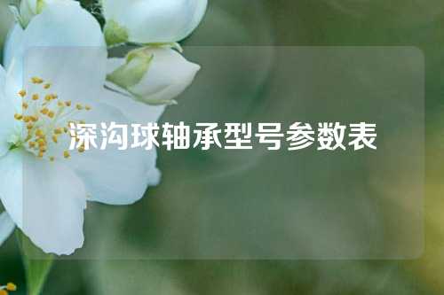 深溝球軸承型號參數(shù)表