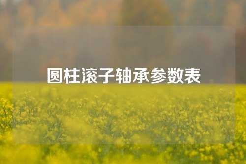 圓柱滾子軸承參數(shù)表